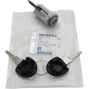 ORIGINAL GM Opel Schlie&szlig;zylinder Z&uuml;ndschloss + Schl&uuml;ssel 913694 / 93172805