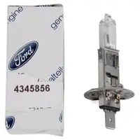 ORIGINAL Ford Halogenlampe Gl&uuml;hlampe H1 12V 55W P14.5s (1 St&uuml;ck) 4345856