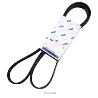 ORIGINAL Ford Keilrippenriemen Courier Fiesta Galaxy Mondeo S-Max 1127235