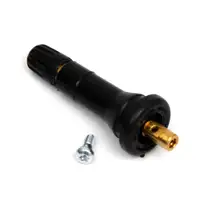 2x ORIGINAL Ford Reifenventil B/C-MAX FIESTA FOCUS GALAXY MONDEO S-MAX 2040067