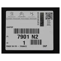 ORIGINAL Peugeot Motorhaube Haube 207 + CC + SW + Stufenheck 7901.N2